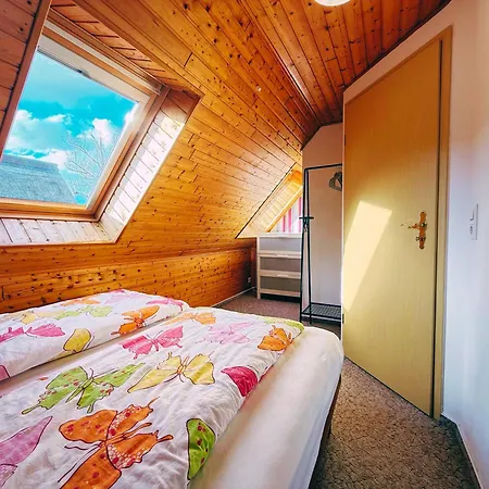 1 Wald & Apartment